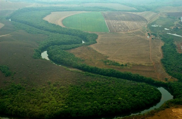 RIO SÃO MARCOS DENTRO