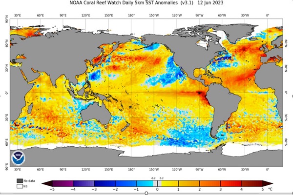 El_Nino_Dentro