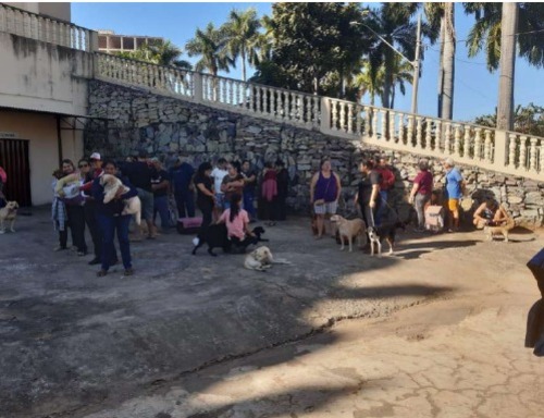 Por meio da parceria firmada com a SUPASH, os atendimentos médico-veterinários itinerante estão sendo realizados em diversas regiões do estado